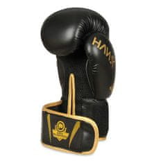 DBX BUSHIDO boxerské rukavice B-2v17 12 oz