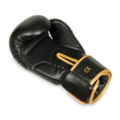 DBX BUSHIDO boxerské rukavice B-2v17 8 oz