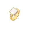 Pozlacený prsten s diamantem a perletí Jac Jossa Soul DR247 (Obvod 51 mm)