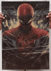 Tie Ler  Plakát Marvel, Spider-Man 4, 51.5 x 36 cm 