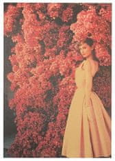Tie Ler  Plakát Audrey Hepburn 51,5x36cm Vintage č.17 