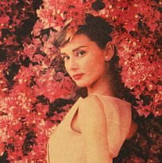 Tie Ler  Plakát Audrey Hepburn 51,5x36cm Vintage č.17 