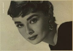 Tie Ler  Plakát Audrey Hepburn č.132, 42x30 cm 