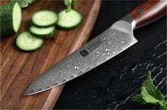 Xinzuo  Víceúčelový nůž 5.5" XINZUO AIČI 67 vrstev damaškové oceli 
