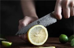 Xinzuo  Víceúčelový nůž 5.5" XINZUO AIČI 67 vrstev damaškové oceli 