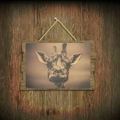 Tie Ler  Plakát Nostalgic Photo Žirafa, rozměr 35,5 x 51 cm 