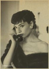 Tie Ler  Plakát Audrey Hepburn č.121, 42x30 cm 