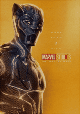 Tie Ler  Plakát Marvel Avengers 4 Endgame, Black Panther č.144, 51.5 x 36 cm 