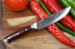 Xinzuo  Steakový nůž 5" XINZUO AIČI 67 vrstev damaškové oceli 