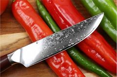 Xinzuo  Steakový nůž 5" XINZUO AIČI 67 vrstev damaškové oceli 