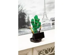 EWA ECO-WOOD-ART Stolní organizér Kaktus zelený 3D puzzle