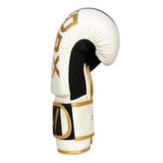 DBX BUSHIDO boxerské rukavice B-2v16 8 oz.