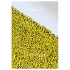 Spoltex Kusový koberec Efor Shaggy 1903/Green 160x230 cm