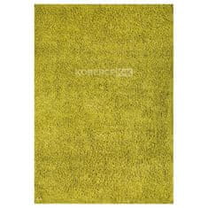 Spoltex Kusový koberec Efor Shaggy 1903/Green 160x230 cm