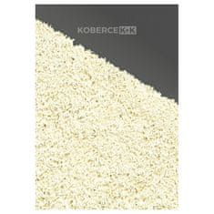 Spoltex Kusový koberec Efor Shaggy 2137/Cream 80x150 cm