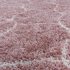 Ayyildiz Kusový koberec Salsa Shaggy 3201 rose 120x170 cm