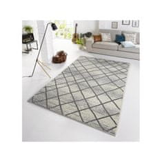 Zala Living Kusový koberec Capri 102552 200x290 cm