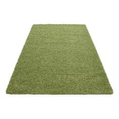 Ayyildiz Kusový koberec Dream Shaggy 4000 green 65x130 cm