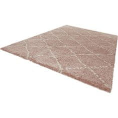 Mint Rugs Kusový koberec Allure 102750 rosa creme 160x230 cm