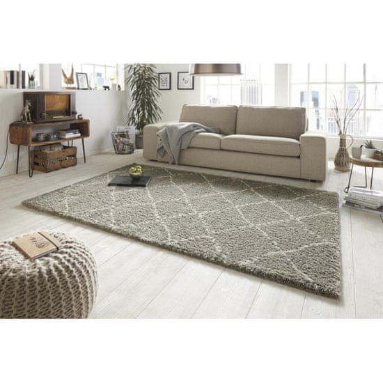 Mint Rugs Kusový koberec Allure 102752 grau creme 200x290 cm