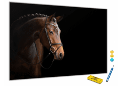 Glasdekor Metalová magnetická tabule - hnědý kůň na černém - Rozměr metalová tabule: 600 x 900 mm