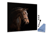 Skleněná magnetická tabule hnědý kůň na černém podkladu - Tvar: Obdélník, Rozměr skleněné grafické tabule: 80x60