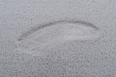 Dywany Lusczów Kulatý koberec BUNNY stříbrný, velikost kruh 100