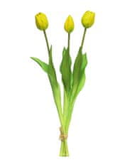 C7.cz Tulipán - Tulip Sally květ x3 zlutý V44 cm