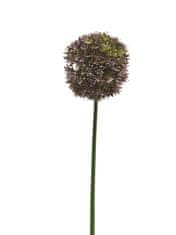 C7.cz Česnek okrasný - Allium Natasja fialová V72 cm