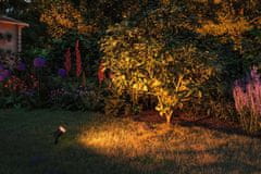 Paulmann PAULMANN LED bodové zahradní světlo zlaté světlo neláká hmyz IP65 kruhové 92mm 2200 - 2200K 4,3W 230V 38-38° černá kov 94731