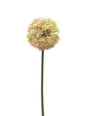 C7.cz Česnek okrasný - Allium Natasja růžová V72 cm