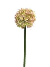 C7.cz Česnek okrasný - Allium Natasja růžová V60 cm