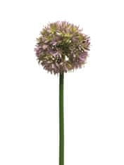 C7.cz Česnek okrasný - Allium Natasja levandulová V60 cm