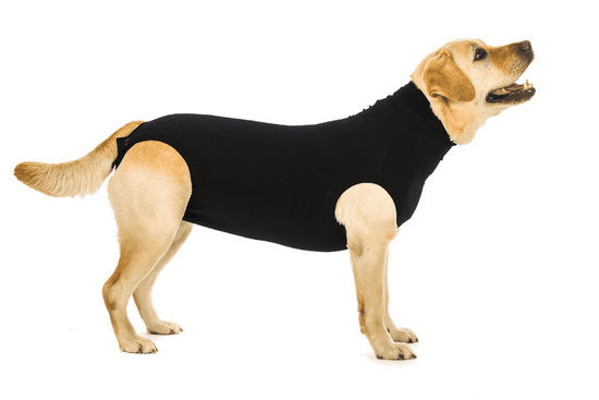 Suitical Pooperační ochranné oblečení pro psa černé