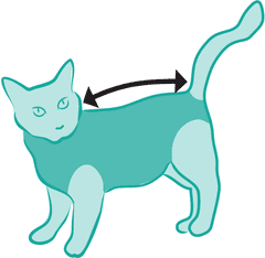 Suitical Pooperační ochranné oblečení pro kočku 43 - 51cm