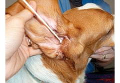 OTOM Bambusové vatové tyčinky na čištění uší pro psa velká