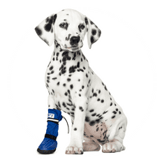 Pooperační ochranná bota pro psa XS