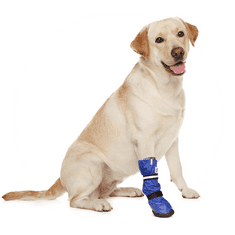 Pooperační ochranná bota pro psa XS
