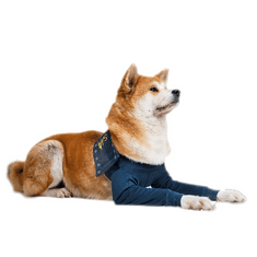 MPS Pooperační ochranný oblečení na obě přední nohy psa 23cm, obvod hrudníku: 45-61 cm