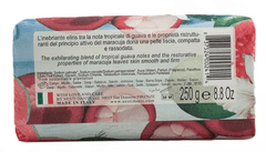 Nesti Dante Nesti Dante Paradiso Tropicale Hawaian Maracuja & Guava mýdlo 250 g