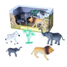Rappa Zvířata divoká v krabici