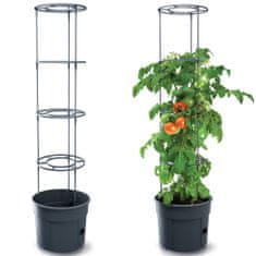 Prosperplast Květináč na pěstování rajčat TOMATO GROWER 290X245 mm, celková výška: 115,2 cm - Antracit