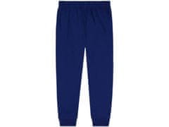 sarcia.eu Dívčí pyžamo TROLS šedé a tmavě modré 3 let 98 cm