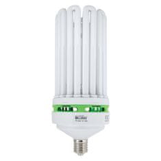 Lumii Úsporná lampa EnviroGro CFL 300W - růstová 6400k