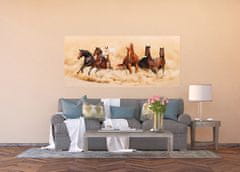 AG Design Závod ušlechtilých koní, fototapeta , 202 x 90 cm