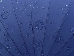 Kraftika 1ks 11 modrá safírová dámský deštník kouzelný s květy