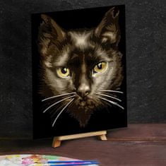 Kraftika Obrázek podle čísel - kočka, rozměry 30 x 40 cm