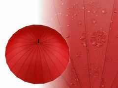 Kraftika 1ks petrolejová dámský deštník kouzelný s květy
