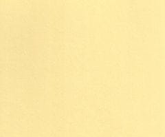 Ursus Fotokarton (10ks) a4 žlutá vanilková 300g/m2, ursus, list