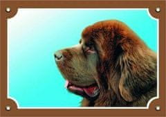 DAFIKO Barevná cedulka pozor pes, novofundlanský pes hnědý